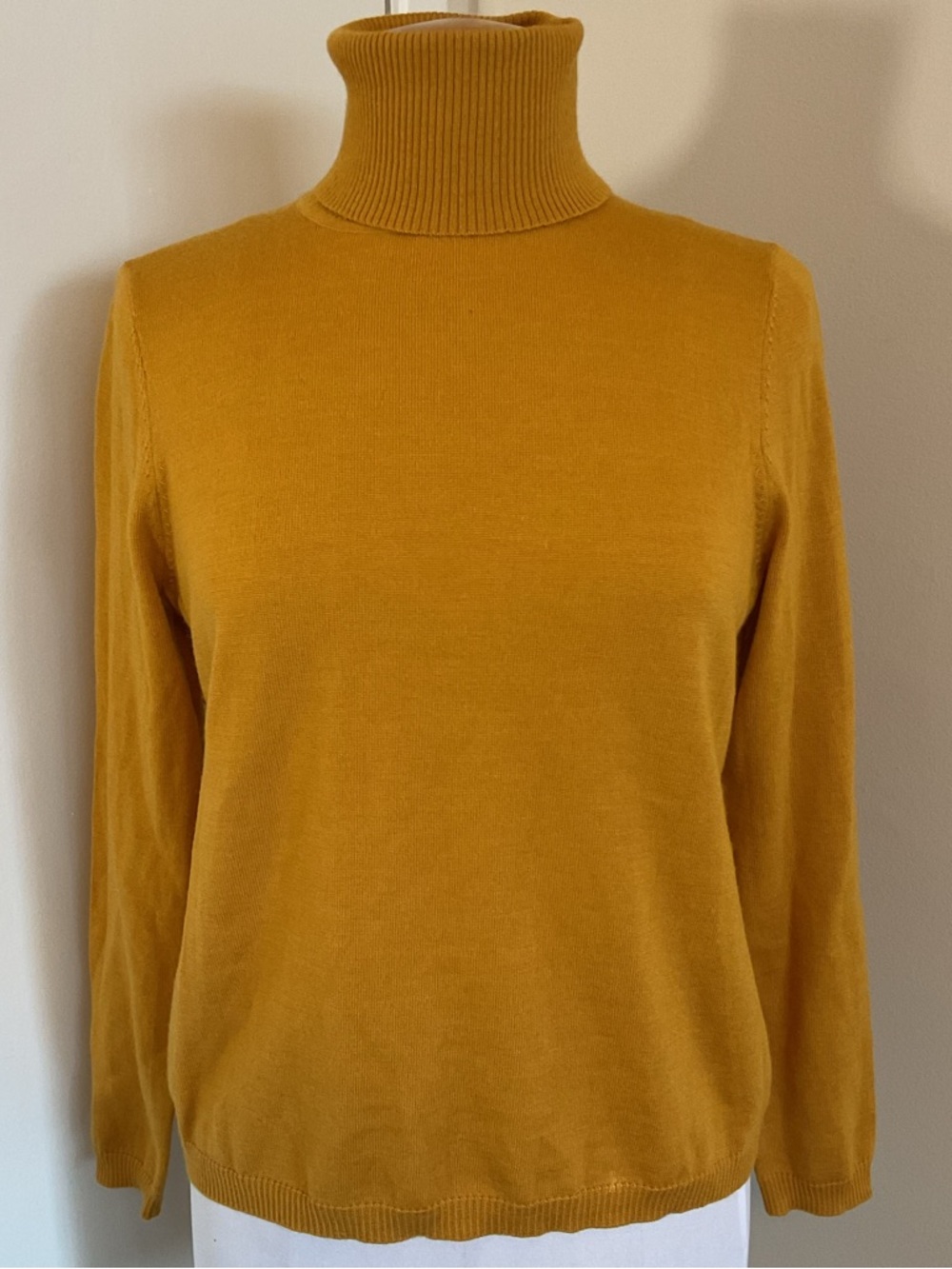 Pendleton 100% Merino Wool Turtleneck Sweater Fitted Long Sleeve Layering M - Picture 2 of 6